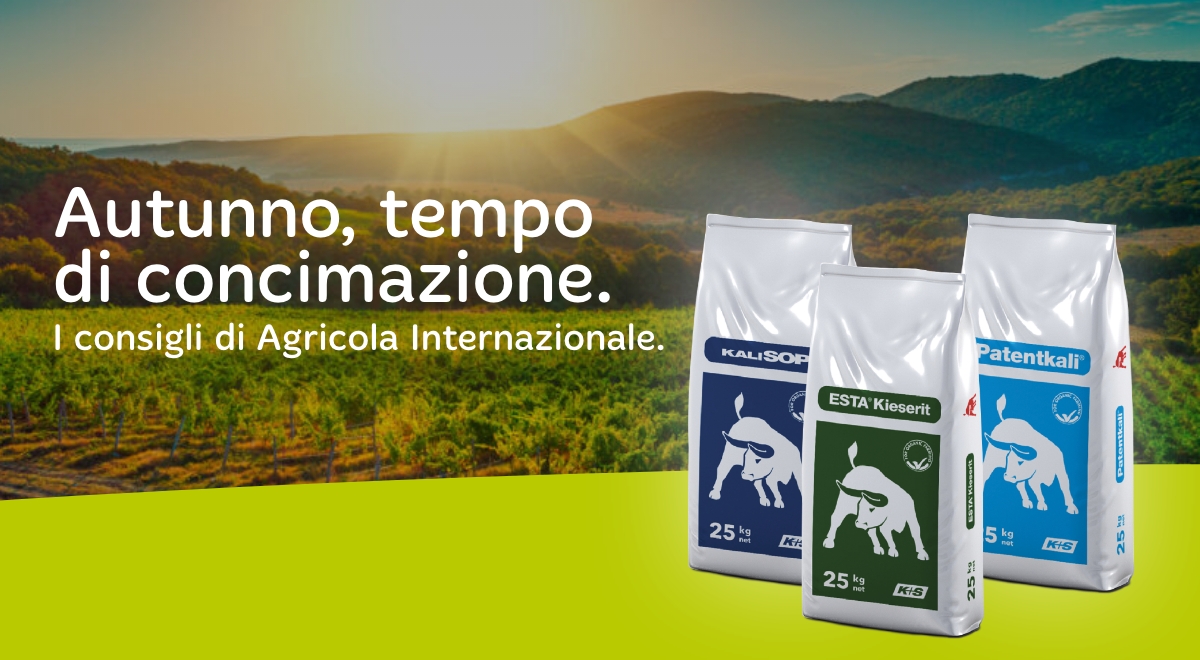 Agricola Internazionale